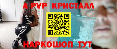 spice Кунгур