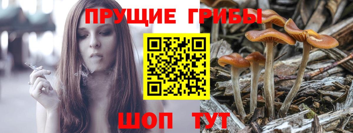 Псилоцибиновые грибы Magic Shrooms  Вход с VPN  Гусев 